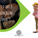 Como o desmatamento pode comprometer as florestas e a vida humana na Amazônia